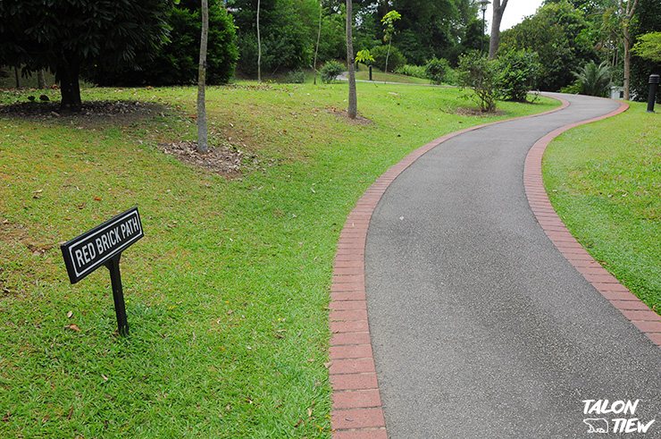 บรรยากาศทางเดิน สงบและร่มรื่นภายในสวนพฤษศาสตร์สิงคโปร์