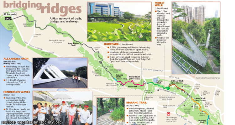 คลิกดู แผนที่เส้นทางเดินป่าชมวิวศึกษาธรรมชาติ Southern Ridges.jpg