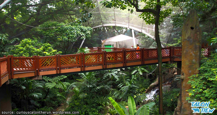 ภายในกรงนกขนาดใหญ่ของสวนฮ่องกง Edward Youde Aviary