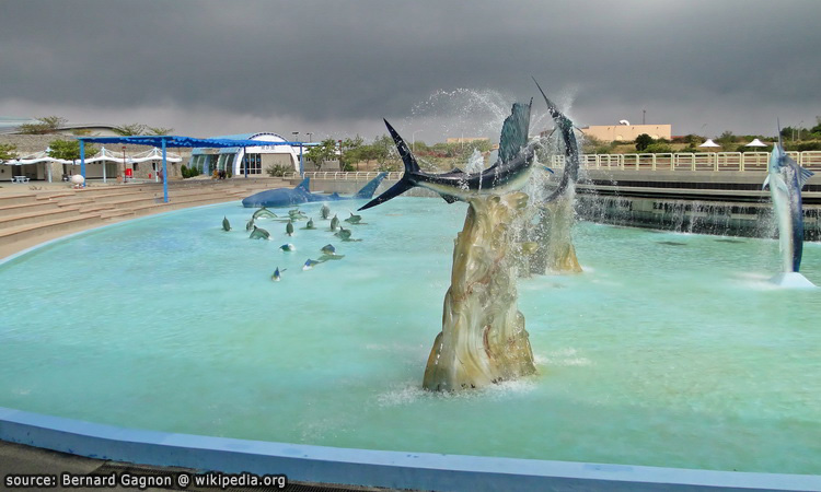 สระน้ำตื้นหน้าพิพิธภัณฑ์พร้อมประติมากรรมสัตว์ทะเล
