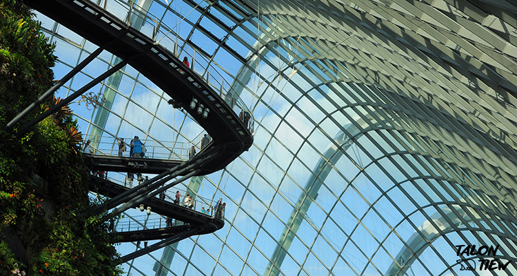 บรรยากาศภายใน Cloud Forest