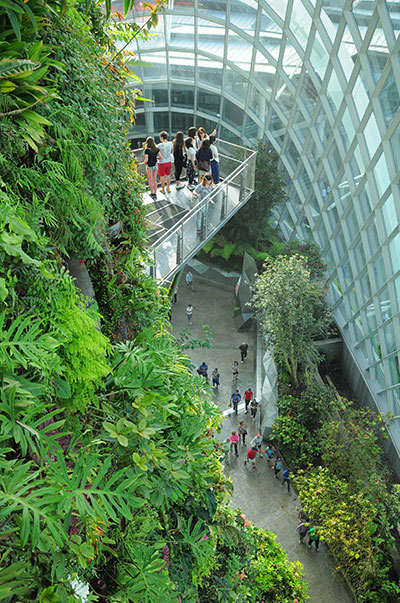 มุมสวยๆจากด้านบนน้ำตกภายใน Cloud Forest