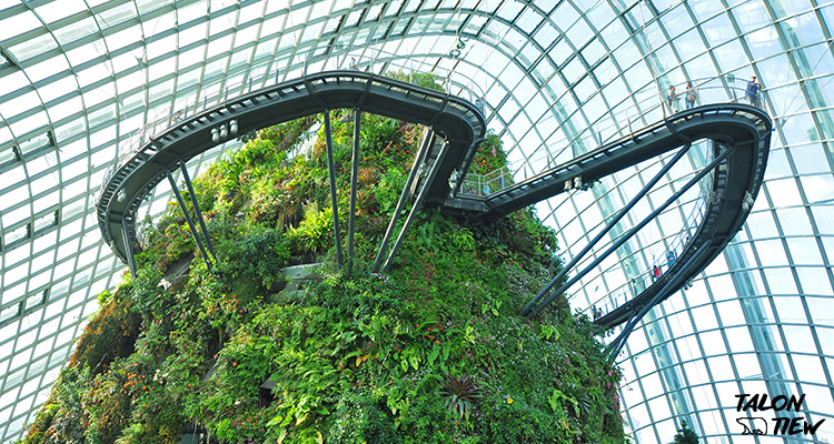 ภายในเรือนต้นไม้ Conservatory Cloud Forest