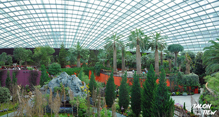 ภายในเรือนต้นไม้ Conservatory Flower Dome