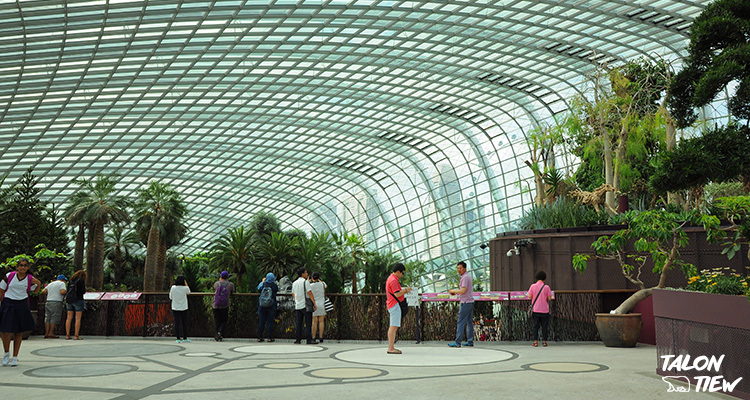 บรรยากาศภายใน Flower Dome