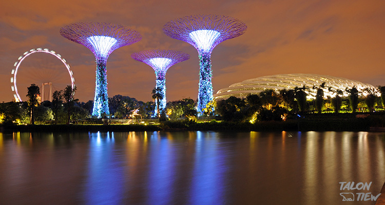 แสงสียามค่ำคืนที่สวน Garden by the Bay