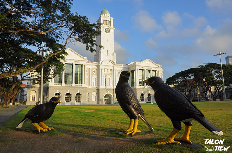 รูปปั้นนกที่สวนด้านหน้าโรงละครวิคตอเรีย Victoria Theatre & Concert Hall