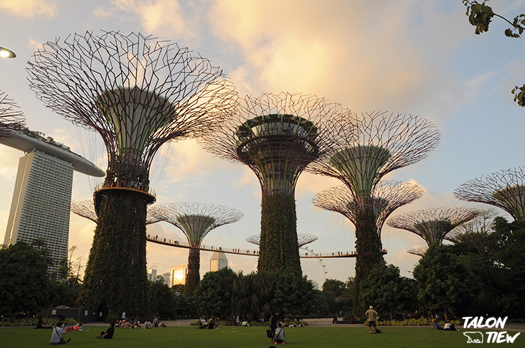 บรรยากาศภายในสวน Garden By the Bay