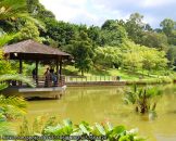 สวนพฤษศาสตร์ของประเทศสิงคโปร์(Singapore Botanic Garden)