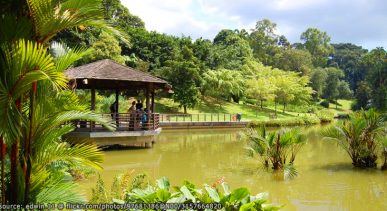สวนพฤษศาสตร์ของประเทศสิงคโปร์(Singapore Botanic Garden)