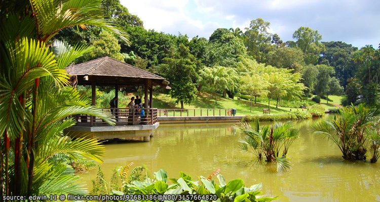 สวนพฤษศาสตร์ของประเทศสิงคโปร์(Singapore Botanic Garden)