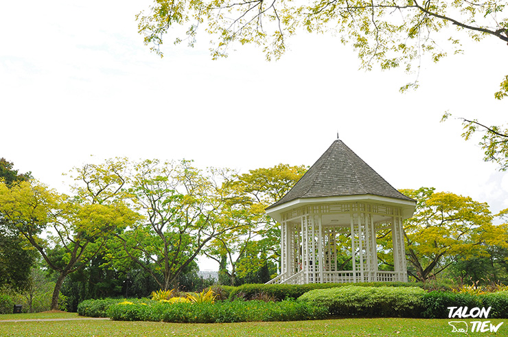 ศาลาแบนแสตน(Bandstand)ภายในสวนพฤษศาสตร์สิงคโปร์(Singapore Botanic Garden)