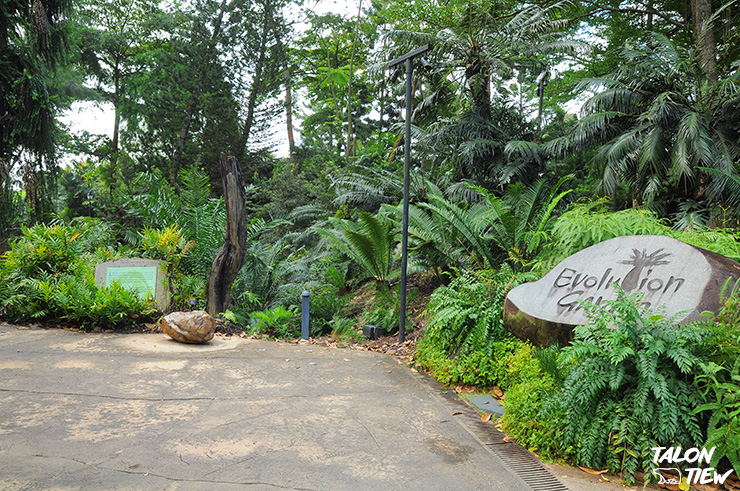 ป้ายทางเข้าสวน Evolution Garden