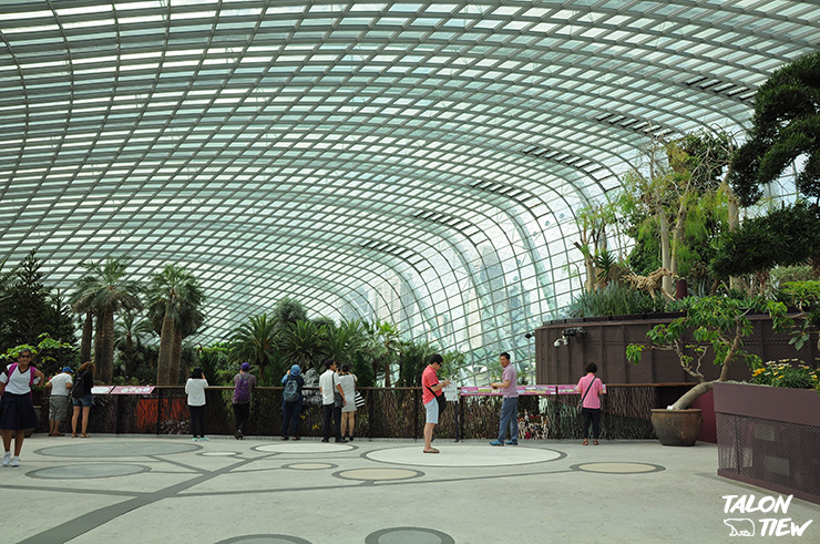 บรรยากาศภายในเรือนกระจกที่ภายในสวน Garden By the Bay