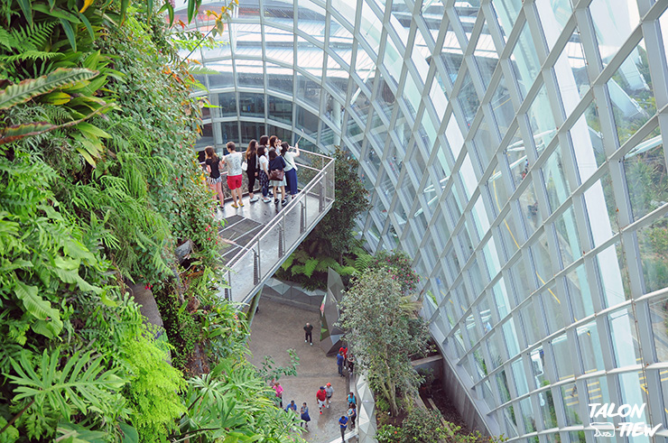 บรรยากาศภายในเรือนกระจกที่ภายในสวน Garden By the Bay