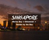 review-singapore-trip-garden-by-the-bay