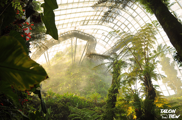 บรรยากาศภายในเรือนกระจกที่ภายในสวน Garden By the Bay