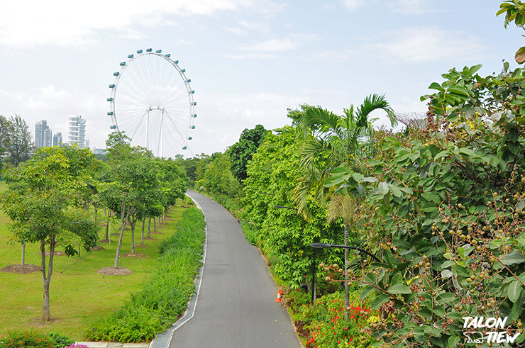 บรรยากาศภายในสวน Garden By the Bay