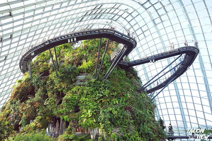 บรรยากาศภายในเรือนกระจกที่ภายในสวน Garden By the Bay