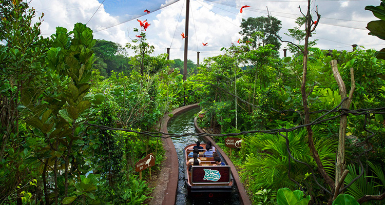 นั่งเรือล่องแม่น้ำชมสัตว์ต่างใน River Safari Singapore