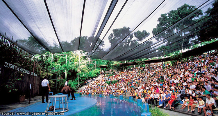 ลานการแสดงสัตว์ที่สวนสัตว์สิงคโปร์