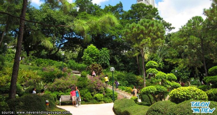 สวนสาธารณะเกาลูน Kowloon Park