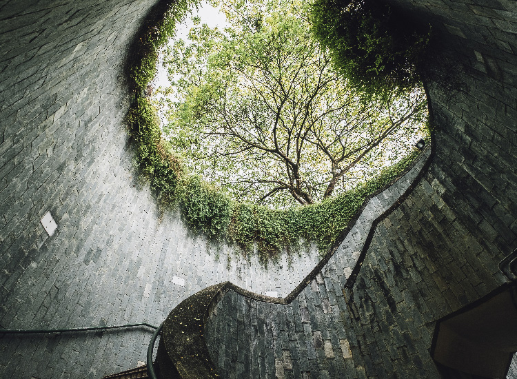 Fort-Canning-Park