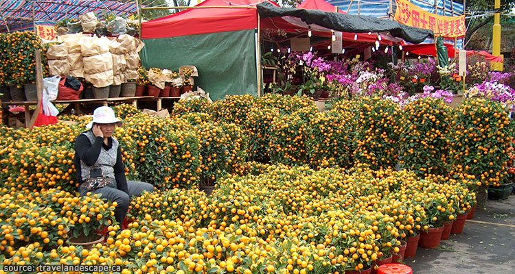 ตลาดดอกไม้ฮ่องกง---Hong-Kong-Flower-Market2
