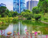 สวนสาธารณะฮ่องกง Hong Kong Park