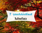 7 จุดชมใบไม้เปลี่ยนสีแนะนำในโตเกียว