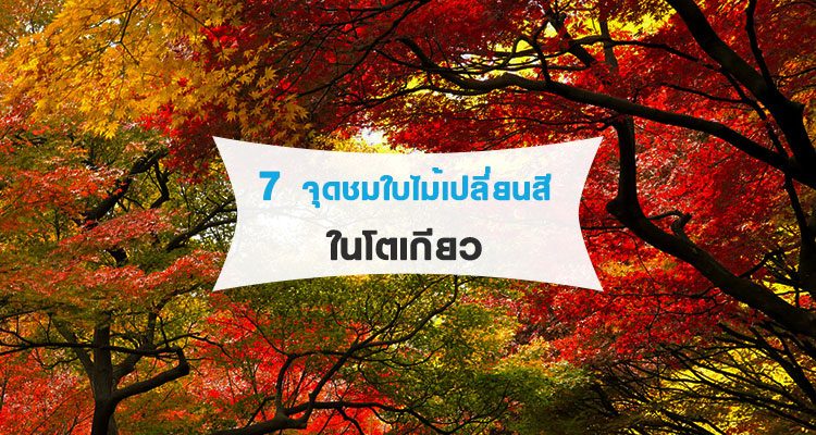 จุดชมใบไม้เปลี่ยนสี
