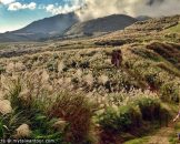 อุทยานแห่งชาติหยางหมิงซาน-Yangmingshan-National-Park