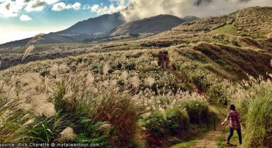 อุทยานแห่งชาติหยางหมิงซาน-Yangmingshan-National-Park