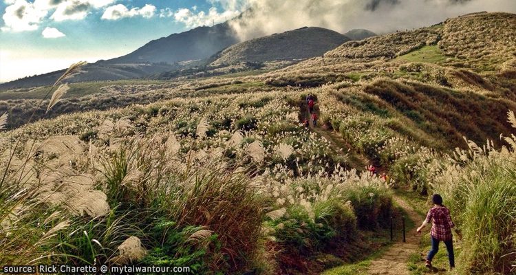 อุทยานแห่งชาติหยางหมิงซาน-Yangmingshan-National-Park