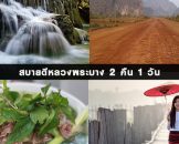 สบายดีหลวงพระบาง-2-คืน-1-วัน