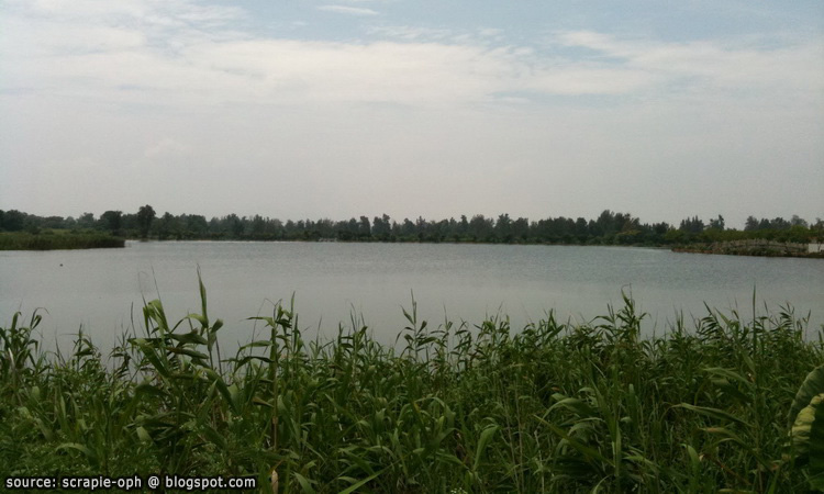 ทะเลสาบ Lingshui