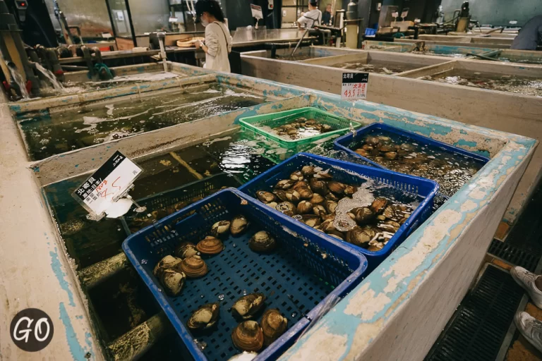 Review image of Fish Market Addiction Aquatic Development 