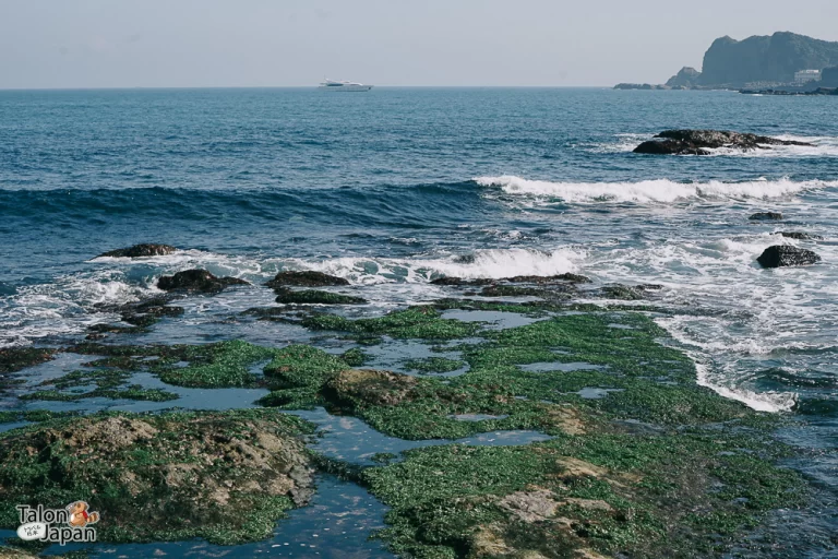 Review image of Wanghaixiang Beach 