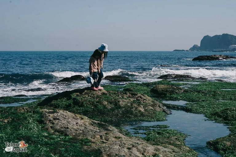 Review image of Wanghaixiang Beach 